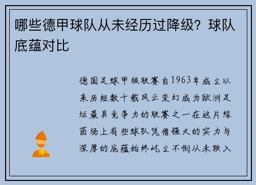 哪些德甲球队从未经历过降级？球队底蕴对比